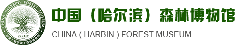 森林博物馆