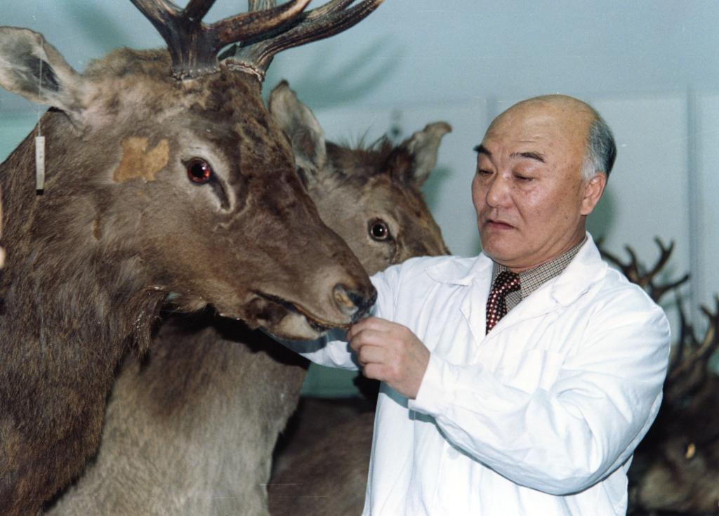 1995马建章当选中国工程院院士.jpg